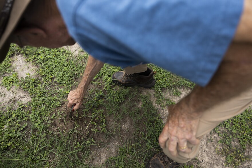 A man bends over usung a tool to dig into the ground.