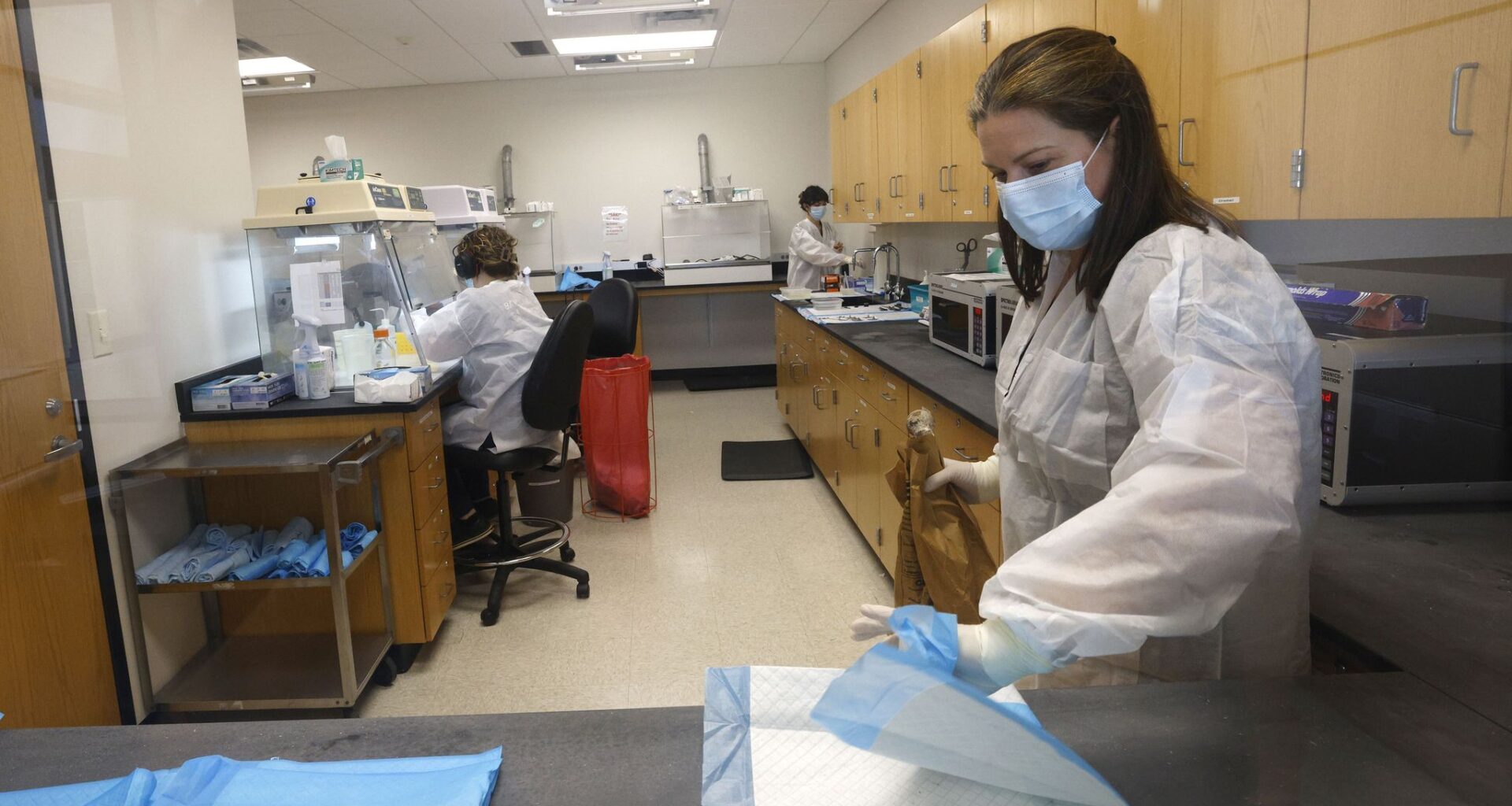 Technical Leader Krystle Rodriguez  works in a laboratory of the Missing Persons Unit at the University of North Texas Health Science Center, Wednesday, June 24, 2026, in Fort Worth.