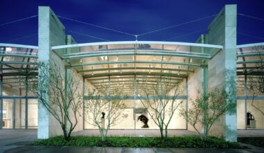 Juvenile magnolias lining Flora Street in front of the Nasher Sculpture Center in 2003.