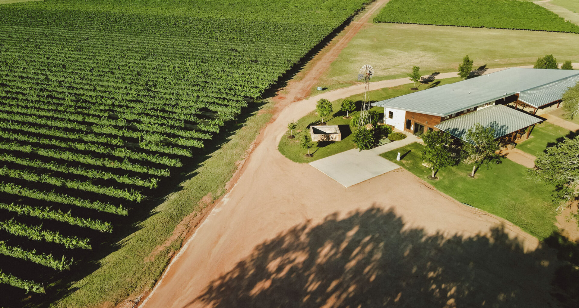 Texas wineries win gold at Decanter World Wine Awards