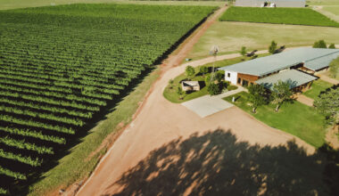 Texas wineries win gold at Decanter World Wine Awards