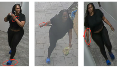 Austin credit card fraud suspect linked to Dallas case