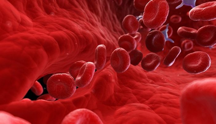 12 things to know about donating platelets