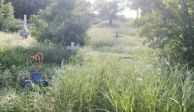 Volunteers to clean up historic Old Robstown Cemetery after heavy rains leave grounds overgrown