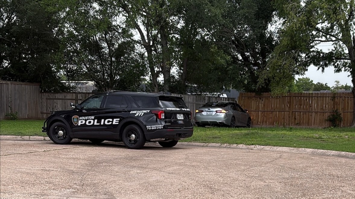 Images showed a grey sedan crashed into a wooden fence as an investigation was underway.