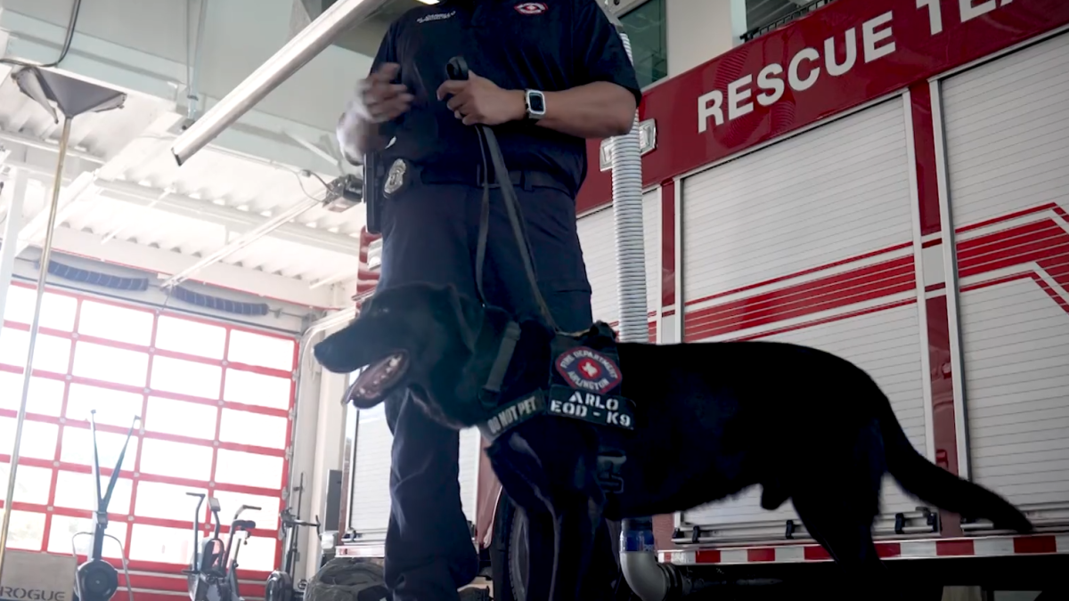 World Cup security ‘vapor wake dogs’ protect North Texas crowds – NBC 5 Dallas-Fort Worth