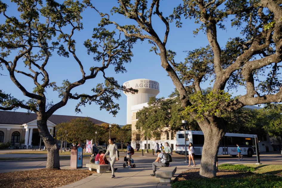 Watchdog scrutinizing Texas colleges opens 1 investigation