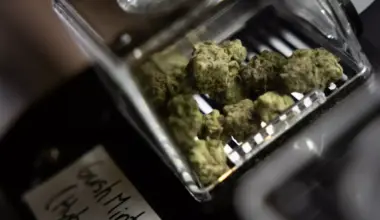 A cured cannabis flower inside a jar is pictured at Terp Haus on Thursday, April 30, 2026.