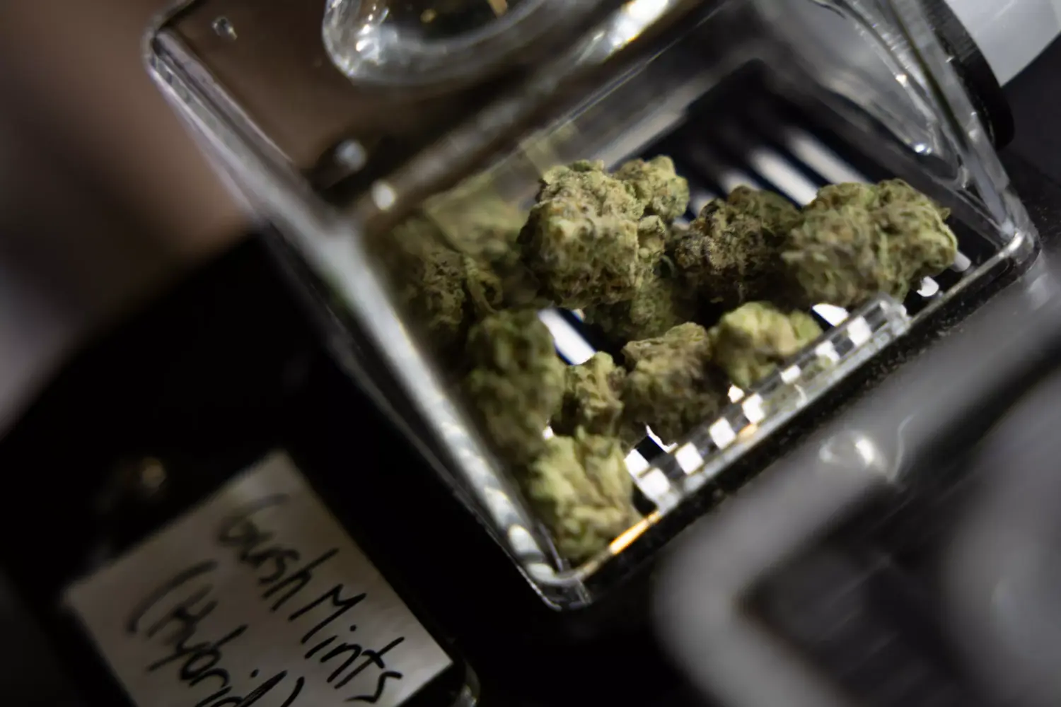 A cured cannabis flower inside a jar is pictured at Terp Haus on Thursday, April 30, 2026.