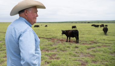 No fat to trim: Texas’ beef industry struggle to turn a profit