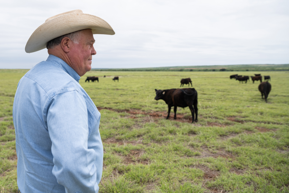 No fat to trim: Texas’ beef industry struggle to turn a profit
