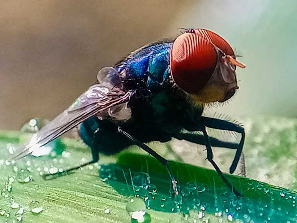 <span class="wp-caption-text">Getty Images</span>