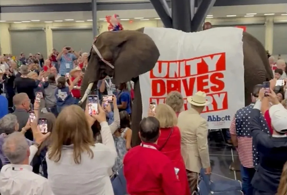The Texas Republican Party has dragged a real elephant through its convention, sparking mockery online with some referencing a Simpsons episode (Texas GOP via X)