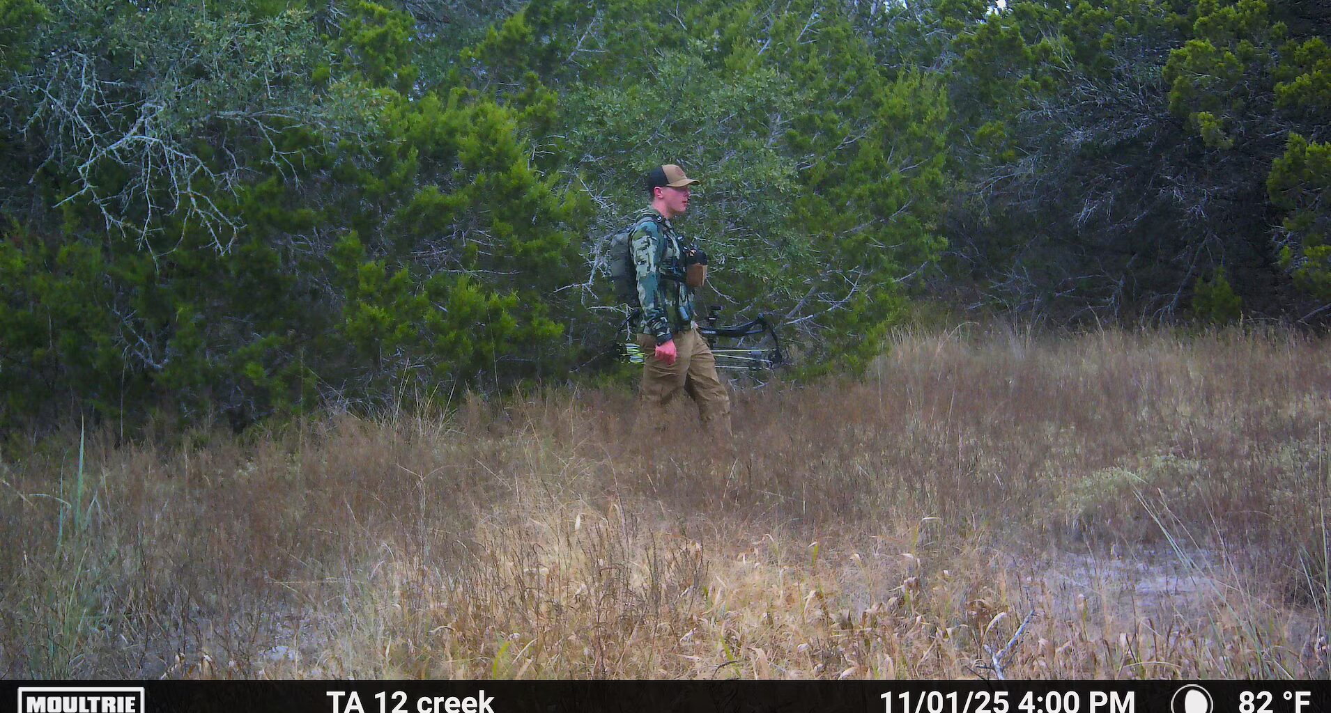 JBSA conservation law enforcement officers seek public's assistance in identifying person of interest at JBSA-Camp Bullis