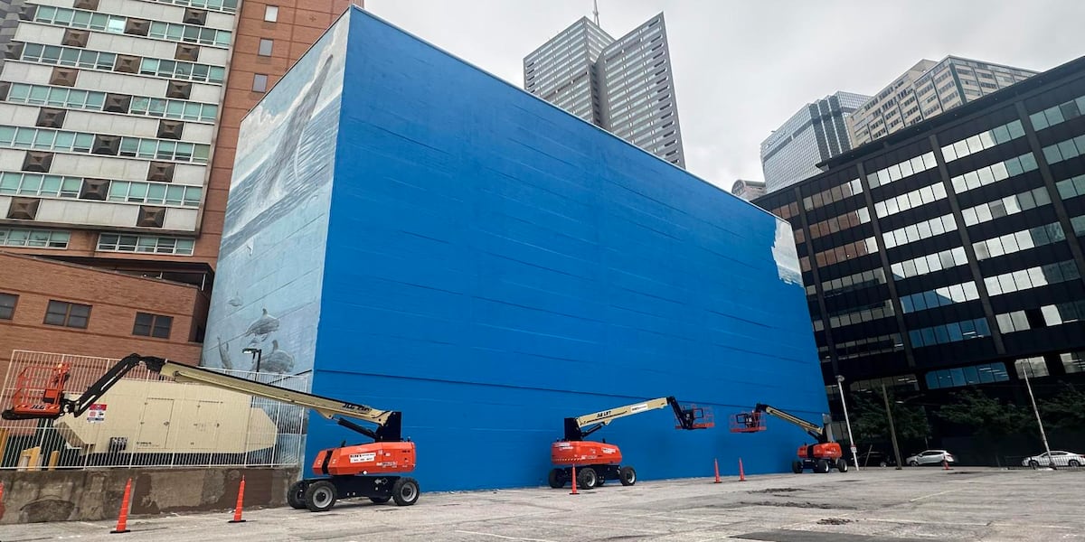 Artist famous for marine murals sues FIFA over Dallas destruction