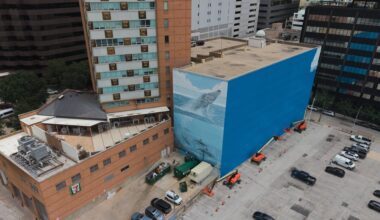 Dallas Whale Mural Artist Wyland Sues FIFA After World Cup Paint-Over