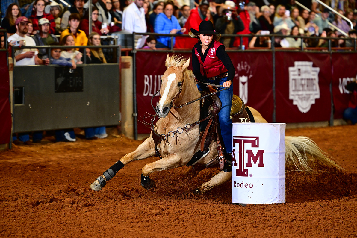 A woman reins her horse through a turn around a barrell