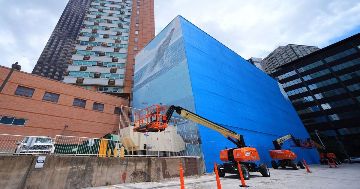 Artist suing FIFA over destruction of Dallas whale mural before World Cup :: WRAL.com