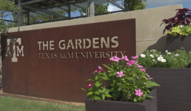 The Gardens at Texas A&M hosts summer celebration