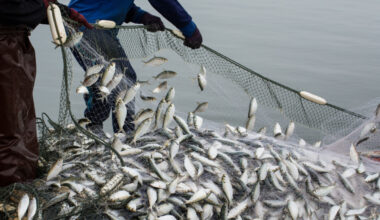 Texas gov vendor breach exposes data of 3M hunters, anglers