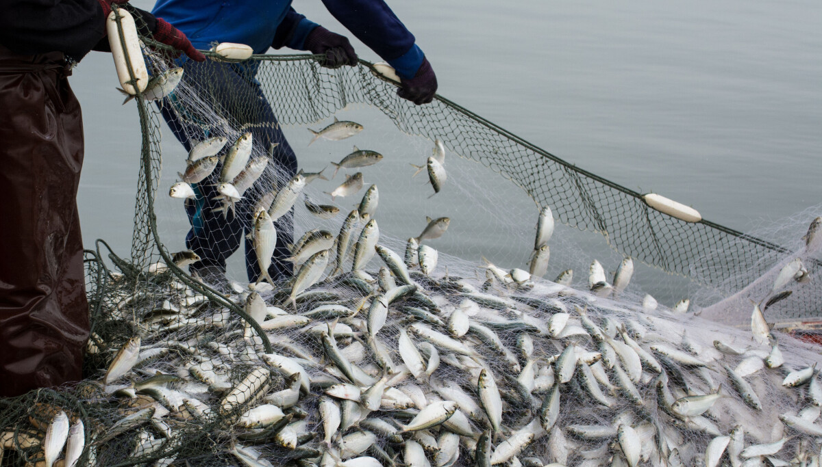 Texas gov vendor breach exposes data of 3M hunters, anglers