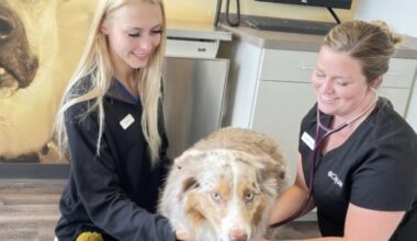 With more than 60 locations, CityVet offers medical exams and services for pets. (Courtesy CityVet)