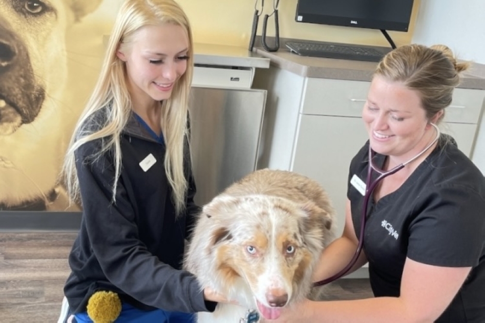 With more than 60 locations, CityVet offers medical exams and services for pets. (Courtesy CityVet)