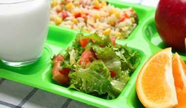 school lunch on a green tray