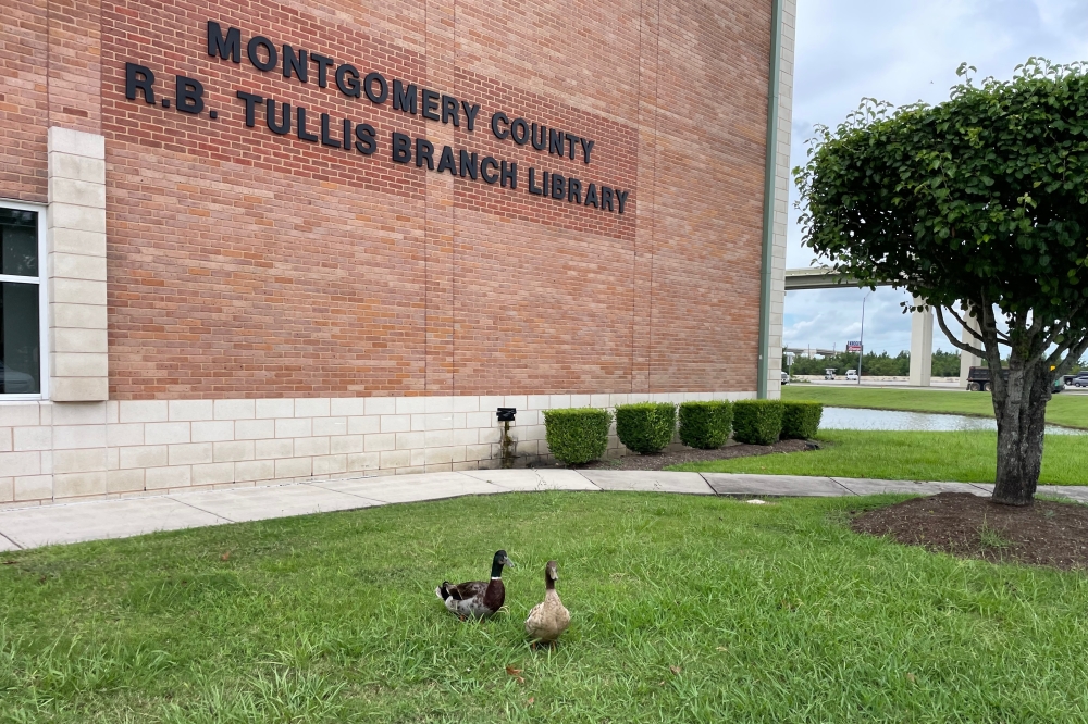 On June 18, The R.B. Tullis Library is hosting a pet therapy session in partnership with Pets With a Mission. (Emily Lincke/Community Impact)