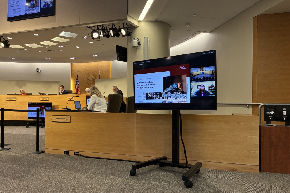 Travis County commissioners received an update and overview on the New World screwworm June 16 before extending the local disaster declaration from June 12. (Jessica McLaren/Community Impact)