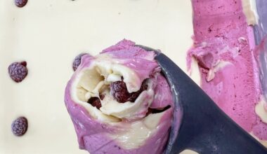 The Signature H-town's Blue Moon Gelato contains blueberries, raspberries, marshmallows and lemon. (Courtesy SweetCup Gelato and Sorbet Originale)