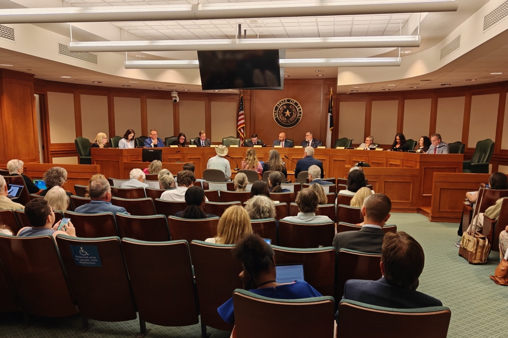 Texas House hearing