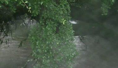Austin weather: Flash flooding warnings and alerts issued