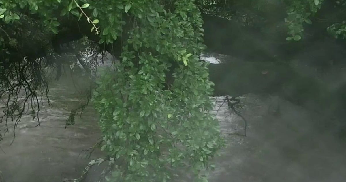 Austin weather: Flash flooding warnings and alerts issued