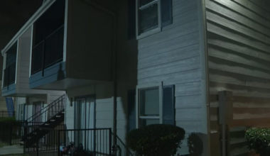 Child allegedly exposed to feces, urine, gasoline inside NW Harris County apartment, court records say
