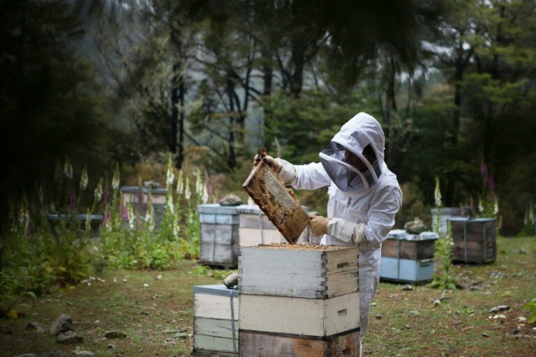 Truck Carrying Over 24 Million Bees Flips, Causing Lockdown in Texas Neighborhood