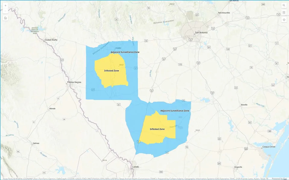 Shown are the four Texas counties currently under a quarantine due to confirmed detection of the deadly New World Screwworm as of June 8, 2026. Currently, La Salle, Uvalde, Webb and Zavala counties are under quarantine, meaning animals cannot be moved out of those counties without an inspection by the Texas Animal Health Commission. (Courtesy Texas Animal Health Commission)