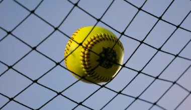 Texas softball continues its portal action, makes key coaching hire – The Daily Texan