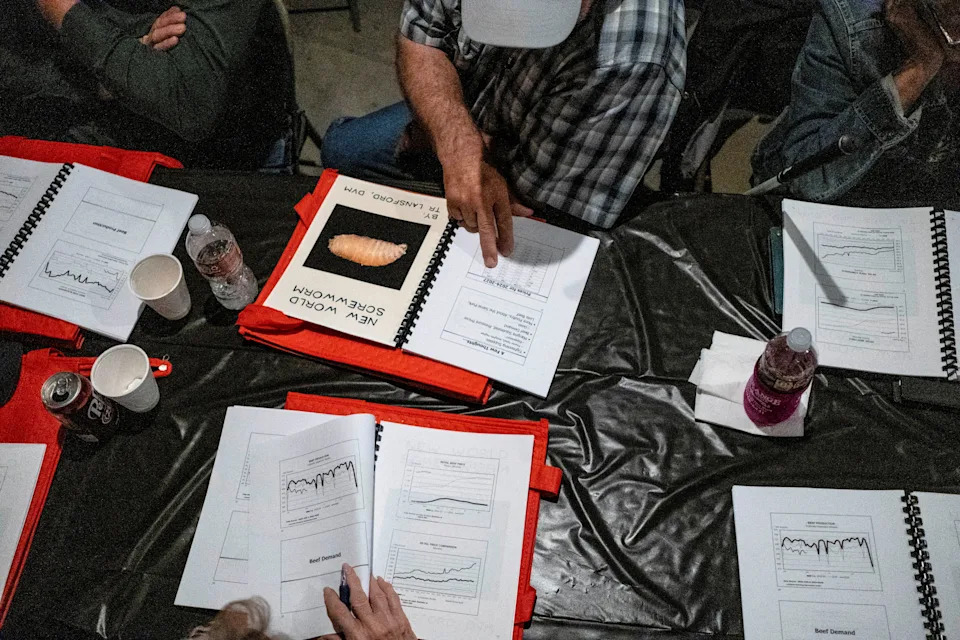 Paul Janda, a cattle rancher from Schulenburg, Texas, examines documents covering economics and the threat of the New World Screwworm parasite during the Fayette County Cow/Calf Clinic and Trade Show in La Grange, Texas, U.S., May 1, 2026.