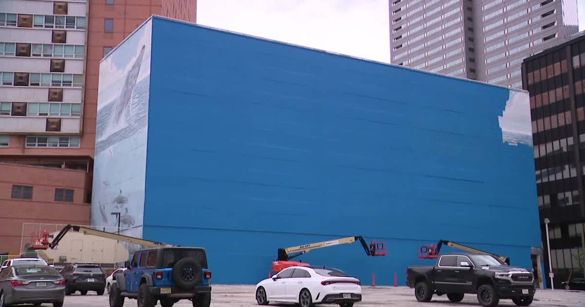 Dallas whaling wall artist sues FIFA for $25 million after mural covered