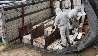 Beekeepers work to save millions of bees after Texas truck crash