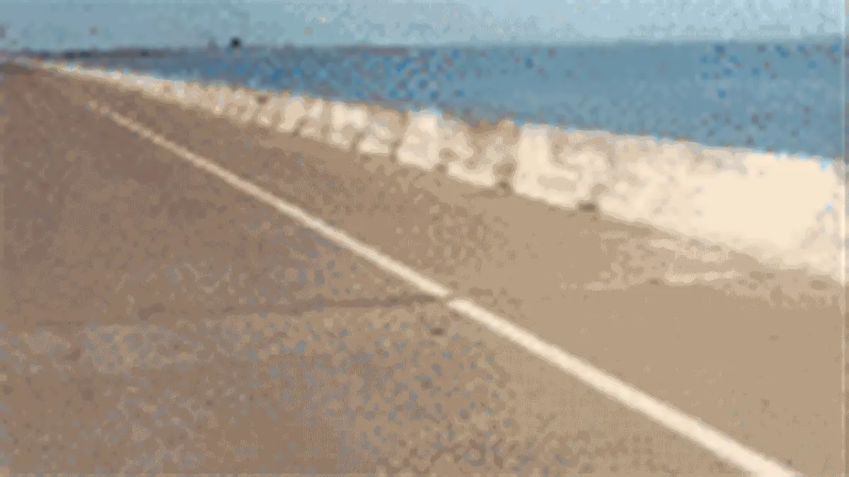 WATCH: Butterflies swarm Texas coast during mass migration