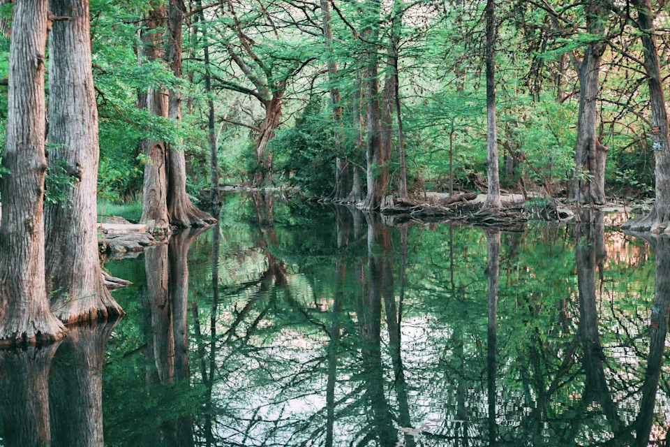 Blue Hole Regional Park, Wimberley Texas. The small town is one of three locations in the Lone Star State named in a new study on longevity hotspots. (Christy Pohler/Getty Images)