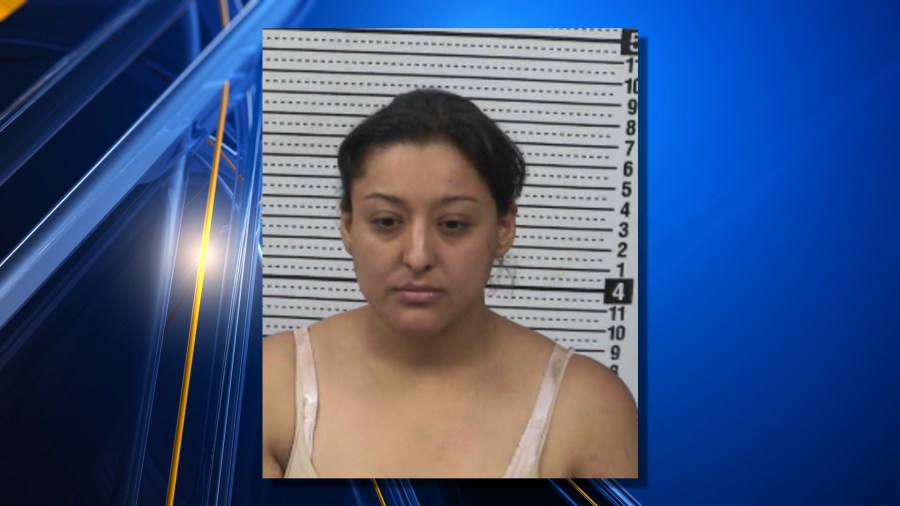 Bond denied for woman in Sunland Park stabbing