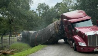 Millions of honeybees escape into a rural Texas neighborhood after a semitrailer crash