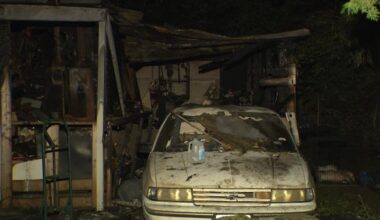 Dallas neighbors rally around injured residents after house fire kills 3 dogs