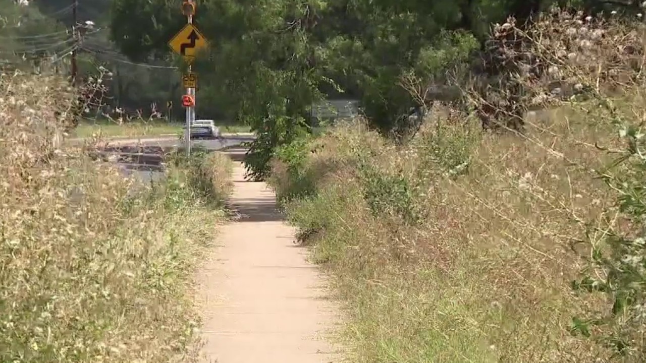 Overgrown lot in Austin trimmed after months of requests
