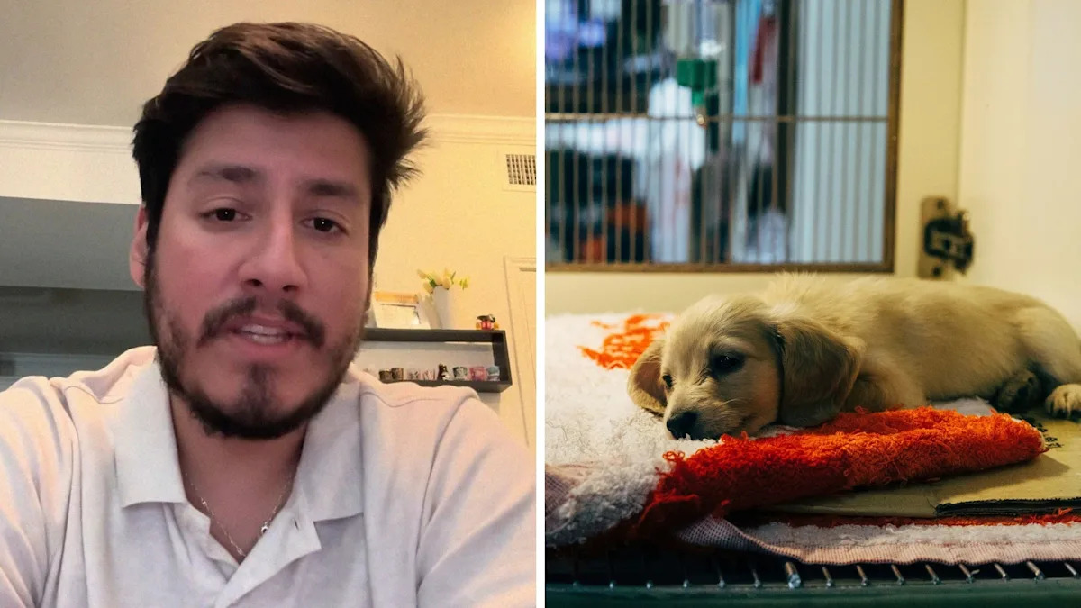 Houston couple tries to adopt a puppy from a shelter after playing with it. Then a front desk worker steps in
