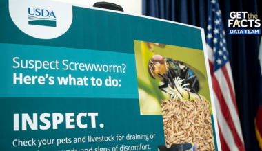 Track where the New World screwworm has been detected