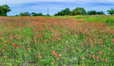 Texas couple's 118-acre paradise could be swallowed by a 7,600-acre data center boom locals say they cannot stop